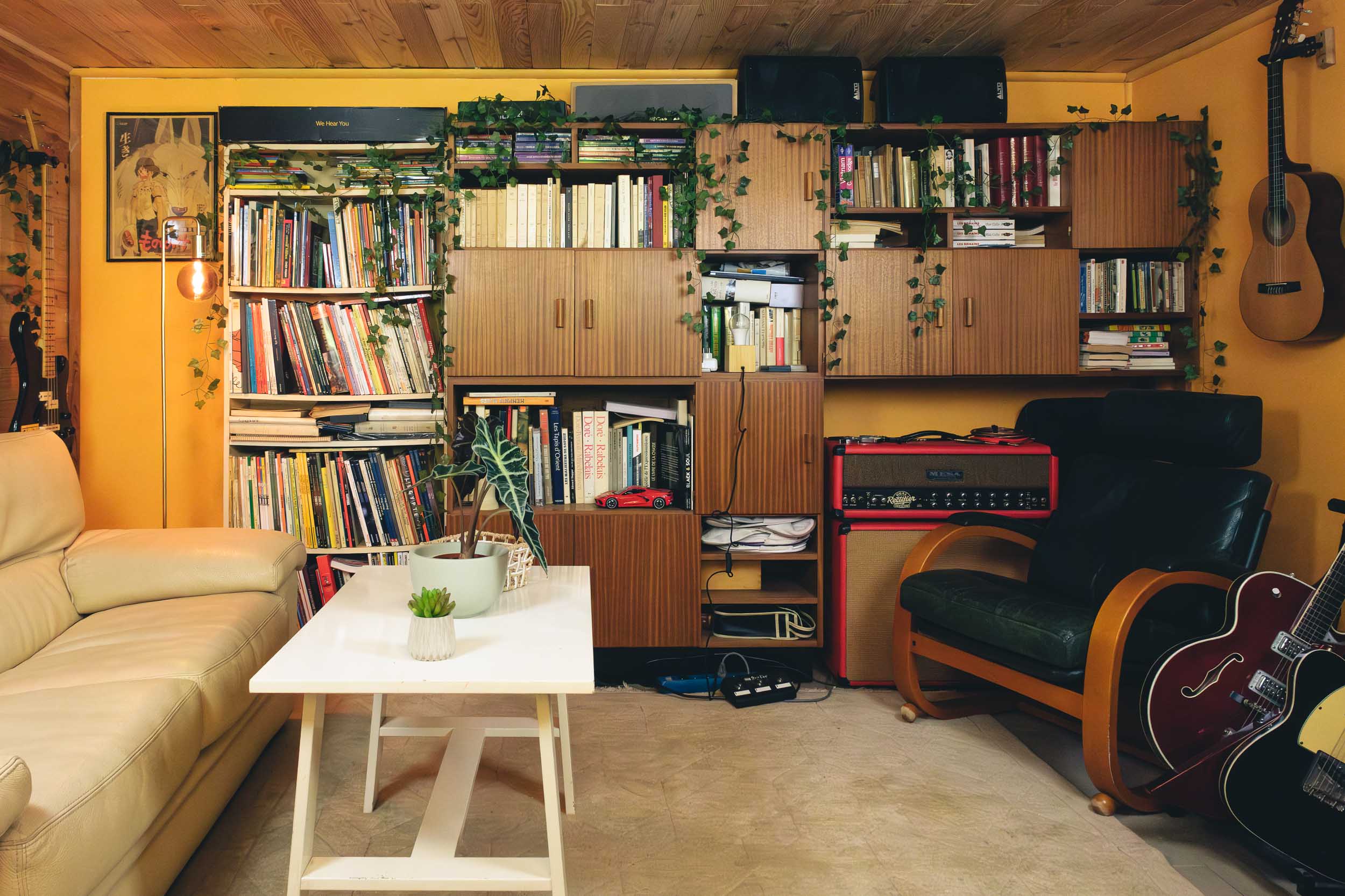 Bibliothèque avec livres, plantes et ampli